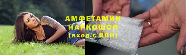 ГАЛЛЮЦИНОГЕННЫЕ ГРИБЫ Алзамай