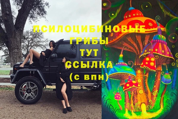 ГАЛЛЮЦИНОГЕННЫЕ ГРИБЫ Алзамай