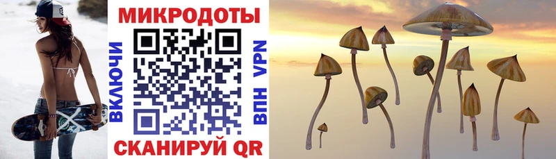 Псилоцибиновые грибы Cubensis  Тула 